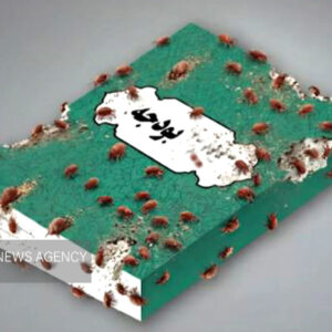 «انگل‌»های بودجه ورزش ایران کجاست/ پروژه‌هایی که «باتلاق پول‌خور» شدند