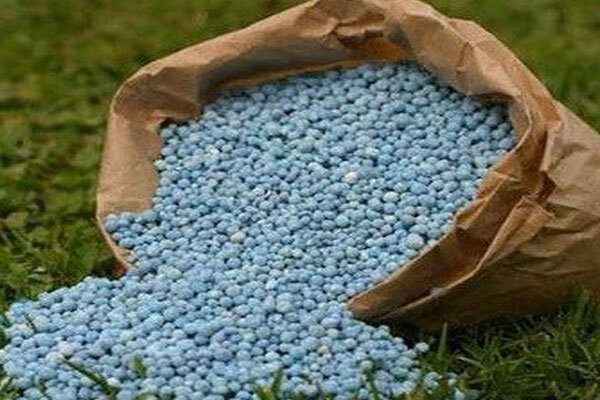 تامین  ۸۶ درصد از سهمیه سالانه کود ازته در چهارمحال و بختیاری