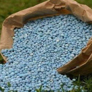 تامین  ۸۶ درصد از سهمیه سالانه کود ازته در چهارمحال و بختیاری