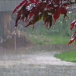 آغاز بارندگی در شهرستان جاسک