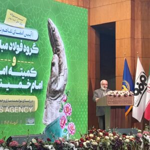 بختیاری: می‌کوشیم هیچ دختری به دلیل نبود جهیزیه از ازدواج محروم نماند