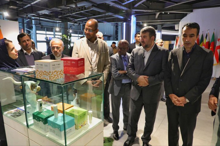 «آفریقا» شریک راهبردی ایران در زیست‌بوم فناوری و نوآوری