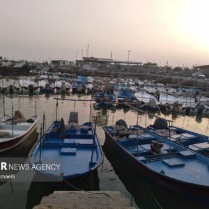 تردد همه شناورها در بندر گناوه ممنوع شد