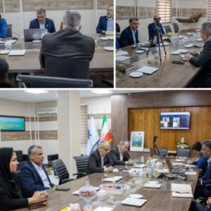 امینی: ظرفیت‌های شیلات استان بوشهر در حالت آماده‌باش قرار گیرند