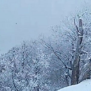 بارش سنگین برف در محور جواهرده رامسر