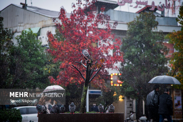 حسین نیا: بارش شدید باران در رودسر؛ شهرداری در آماده‌ باش کامل است