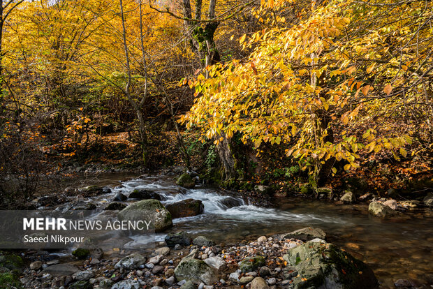 آلش‌دشت گیلان در واپسین روزهای پاییز