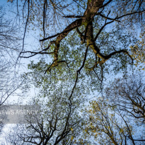 آلش‌دشت گیلان در واپسین روزهای پاییز