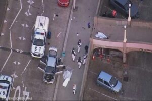 حمله سیدنی و بهره برداری از آن برای بازتولید روایت «قربانی»