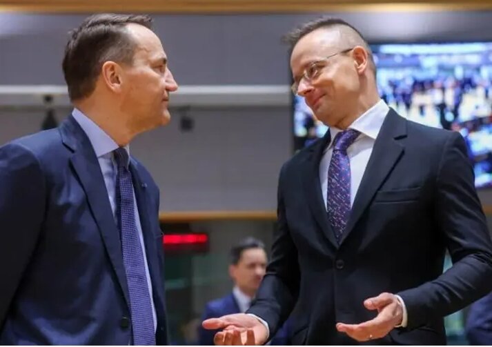 تنش بین مجارستان و لهستان درباره مصادره دارایی‌های روسیه