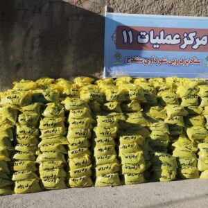 اصغری: ۲۳ ایستگاه برف‌روبی برای عبور ایمن از زمستان در سنندج فعال شد