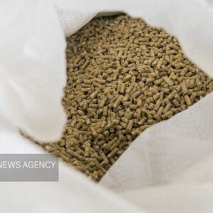 پیشنهاد تشکل‌های نهاده دامی برای ساماندهی بازار از تأمین تا توزیع