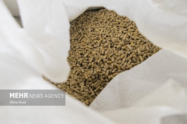 پیشنهاد تشکل‌های نهاده دامی برای ساماندهی بازار از تأمین تا توزیع