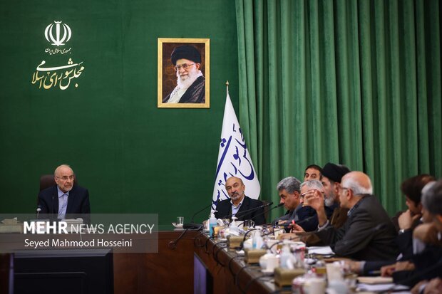 دیدار وزیر علوم و روسای دانشگاه های سراسر کشور با  رئیس مجلس شورای اسلامی