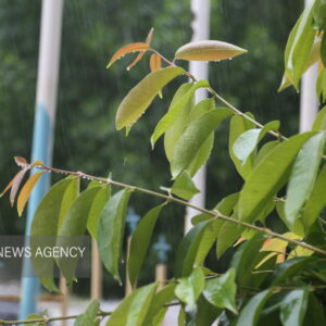 ورود موج اصلی بارش ها به هشتبندی هرمزگان