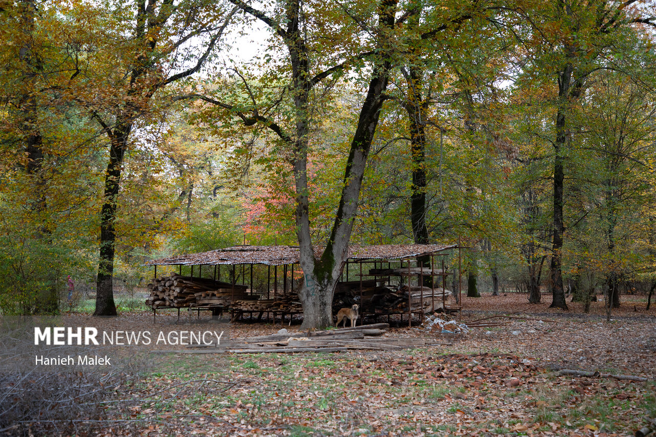 آغاز مرمت طبقه دوم میدان نقش جهان؛ تلاش مردم برای بهبود وضعیت دو برج