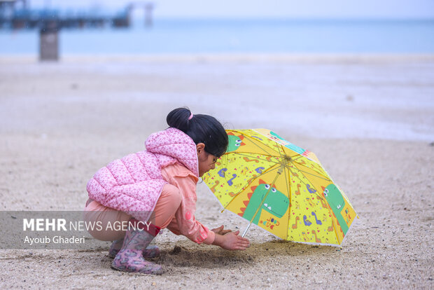 باران پائیزی جزیره کیش