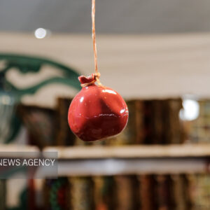 اعلام روش‌های مشارکت مردم در پویش ملی یلدای مهربانی