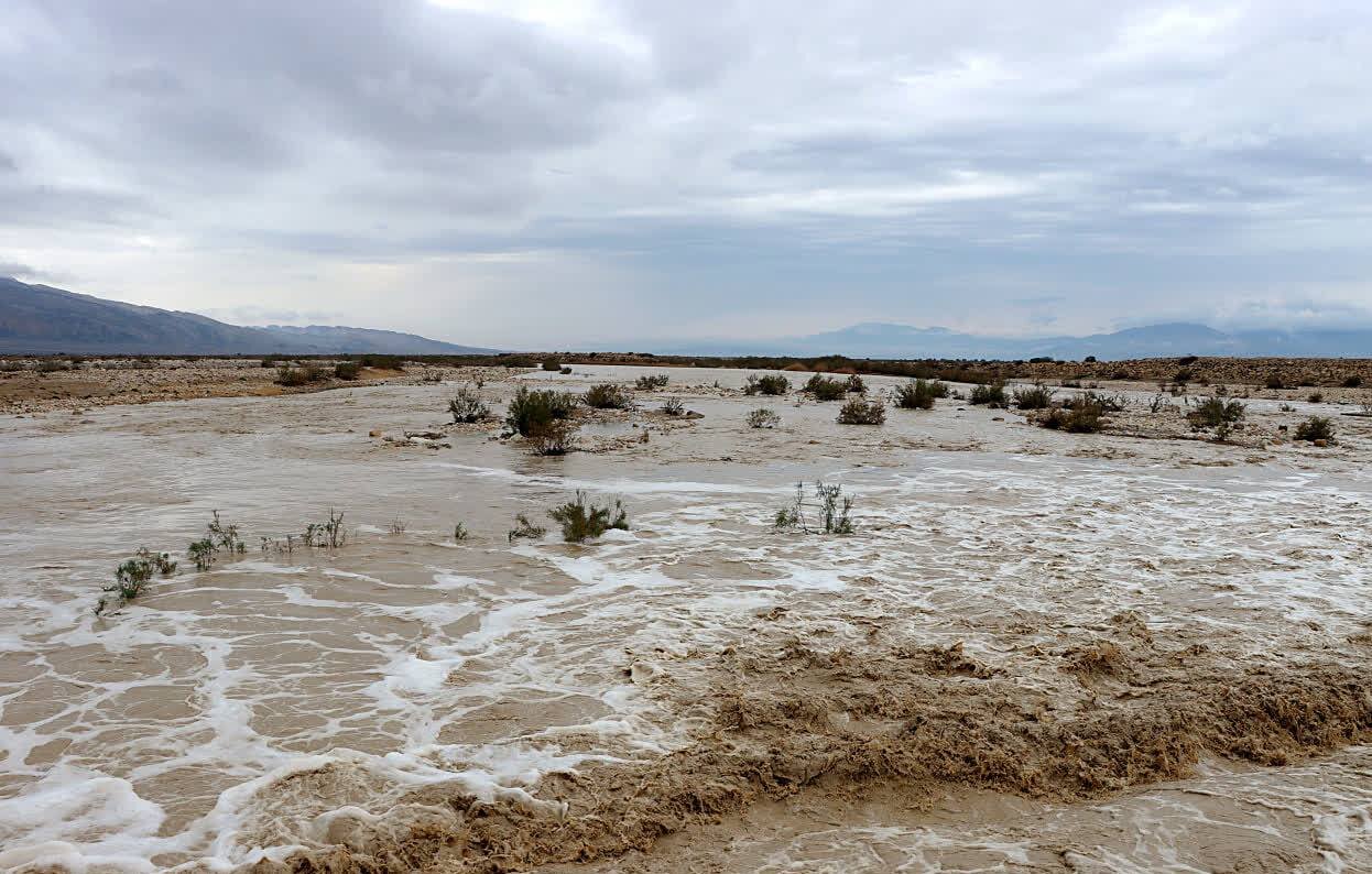 فرماندار دشتی:مردم از تجمع و تردد درحاشیه رودخانه‌های فصلی خوداری کنند