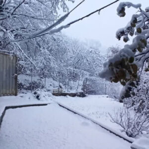 بارش برف در شهر پول