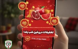 رئیس پلیس فتای بوشهر :مردم مراقب کلاهبرداری‌های شب یلدا باشند