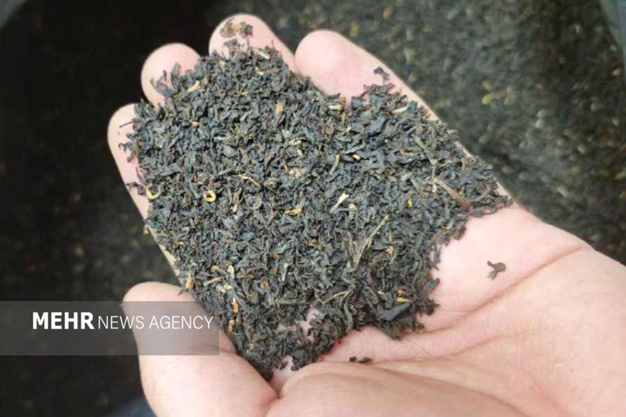 پایان پرونده چای سنواتی؛ ۳۱ هزار تُن از انبارهای تهران خارج شد