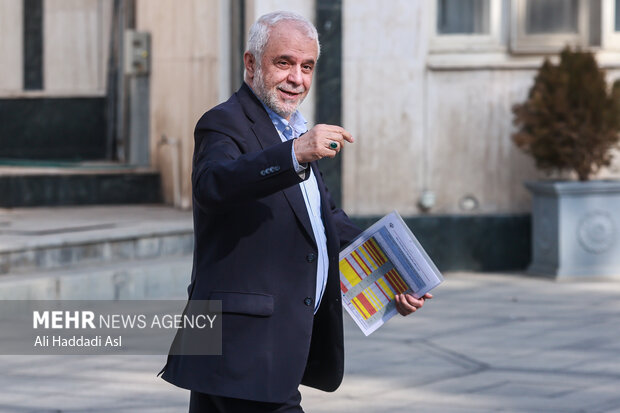 سعید اوحدی معاون رئیس جمهور در حاشیه جلسه هیئت دولت