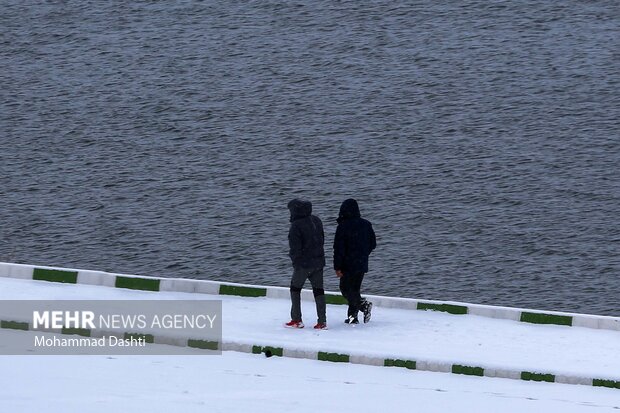 بارش اولین برف پاییزی در اردبیل