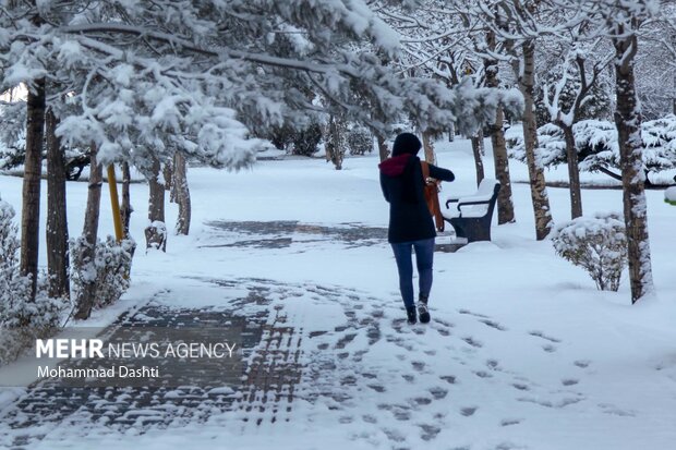 بارش اولین برف پاییزی در اردبیل