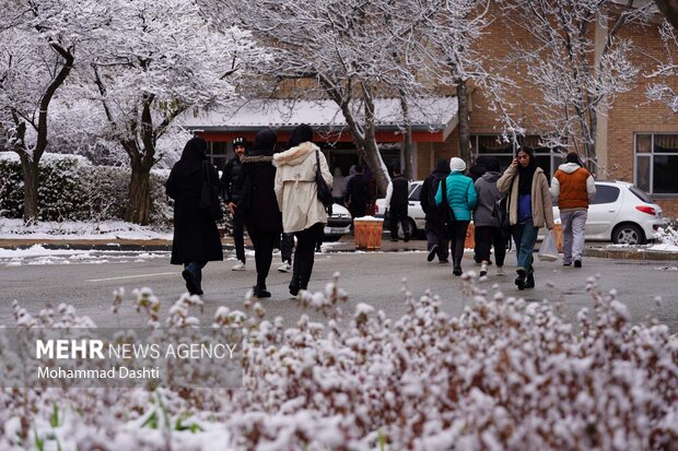 بارش اولین برف پاییزی در اردبیل