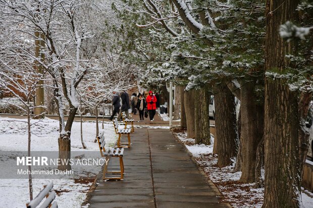 بارش اولین برف پاییزی در اردبیل