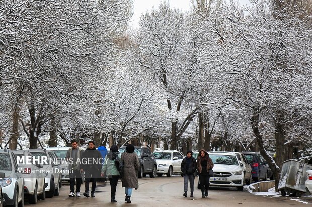 بارش اولین برف پاییزی در اردبیل