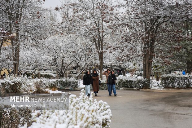 بارش اولین برف پاییزی در اردبیل