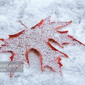 بارش شدید برف در مشهد