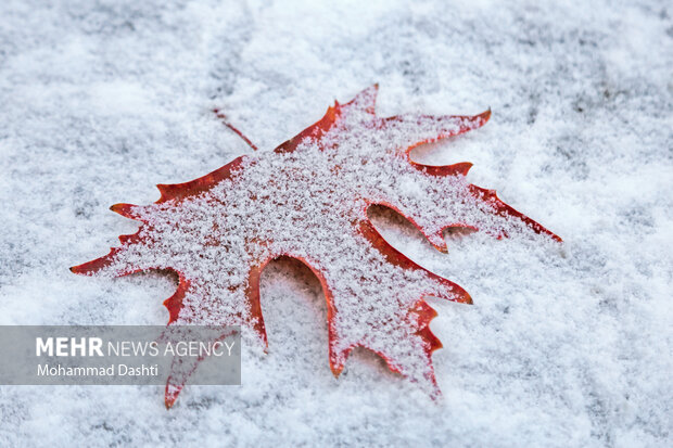 بارش اولین برف پاییزی در اردبیل