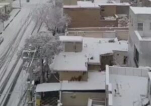 بارش برف شهر قروه را سفیدپوش کرد