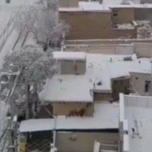 بارش برف شهر قروه را سفیدپوش کرد