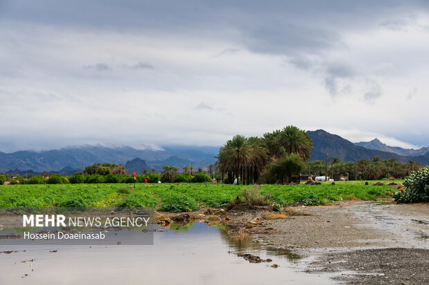 زیبایی طبیعت هشتبندی هرمزگان پس از باران