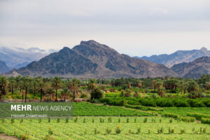 حال و هوای شهر هشتبندی پس از باران