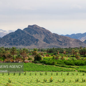 حال و هوای شهر هشتبندی پس از باران