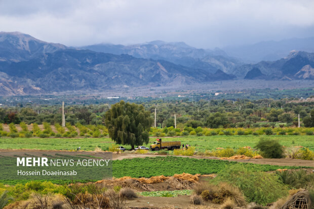 زیبایی طبیعت هشتبندی هرمزگان پس از باران