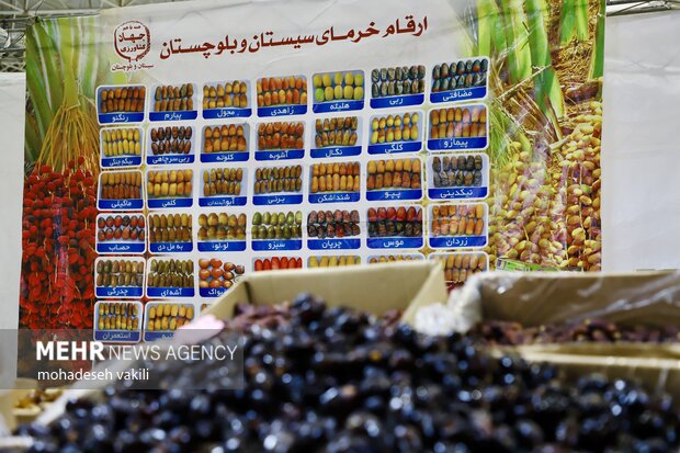 نمایشگاه یلدایی زاهدان؛ تنوع فرهنگ و طعم ها