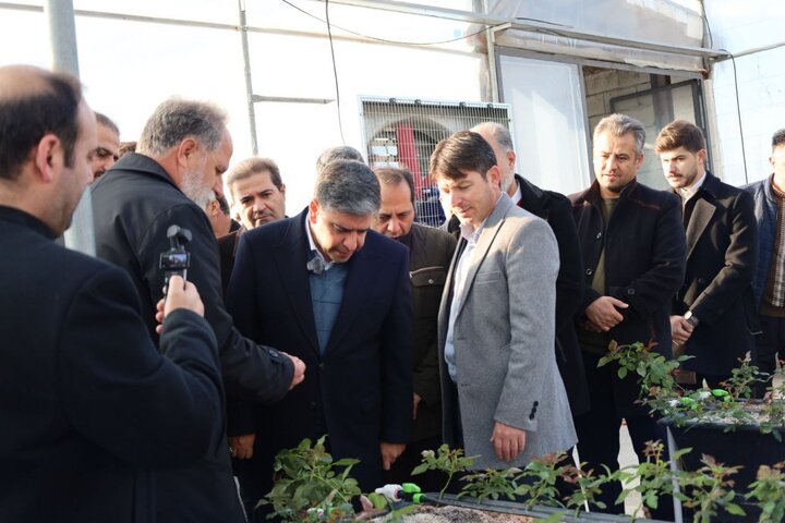 بهره‌برداری از یک گلخانه تولید گل در اندراب سرعین