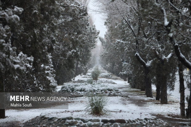 برف پاییزی در  اراک