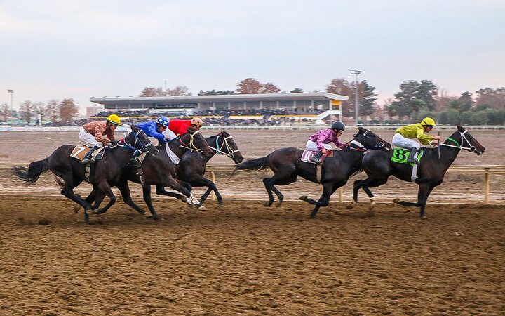 رقابت ۷۰ اسب در روز دوم هفته ششم کورس‌های پاییزی گنبدکاووس