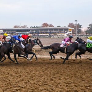 رقابت ۷۰ اسب در روز دوم هفته ششم کورس‌های پاییزی گنبدکاووس