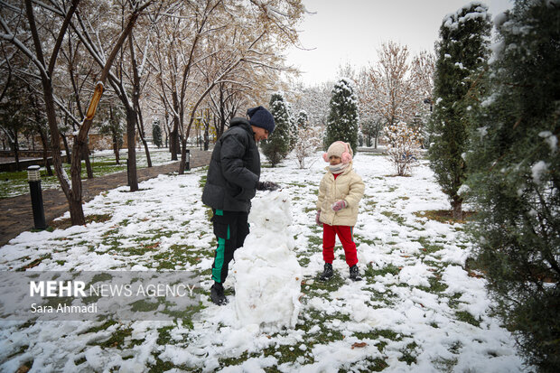 مشهد در یک روز برفی