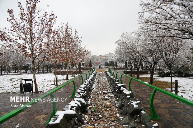 هوای مشهد سالم است؛۲ منطقه در وضعیت ناسالم