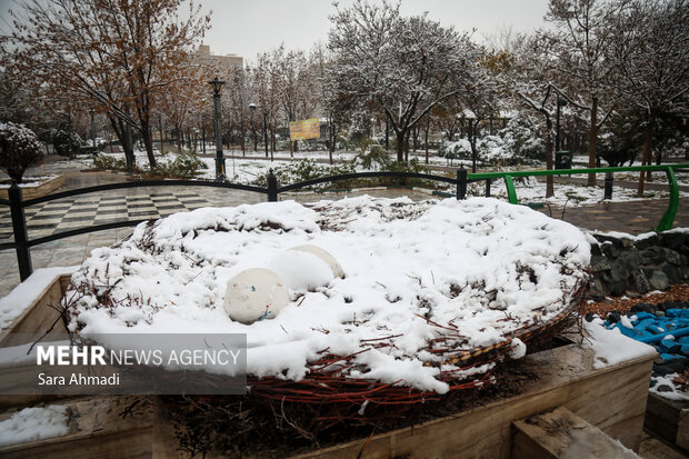 مشهد در یک روز برفی