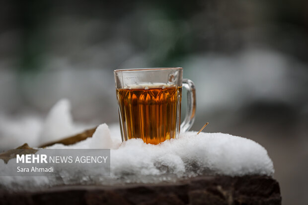 مشهد در یک روز برفی